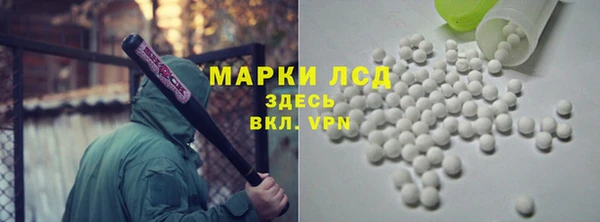 стаф Аркадак