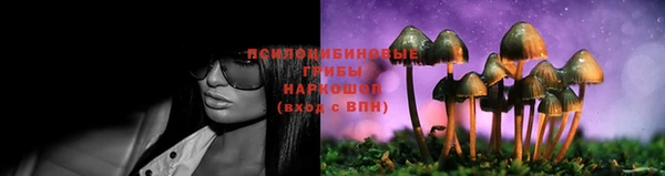 ГАЛЛЮЦИНОГЕННЫЕ ГРИБЫ Алексин