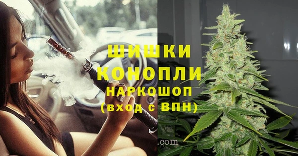 стаф Аркадак