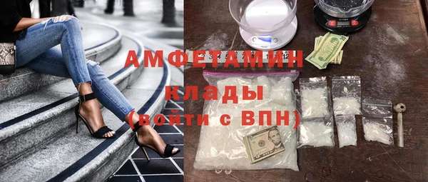 стаф Аркадак