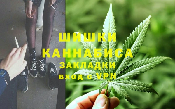 apvp Арсеньев