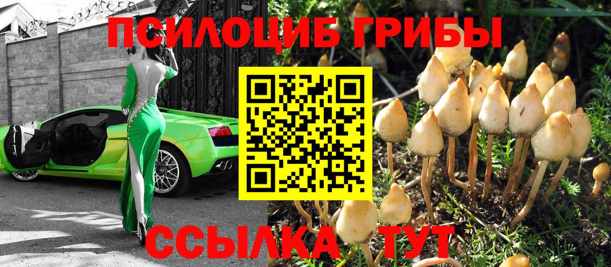 Псилоцибиновые грибы мухоморы Лысьва